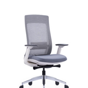 Medium Back Mesh Chair