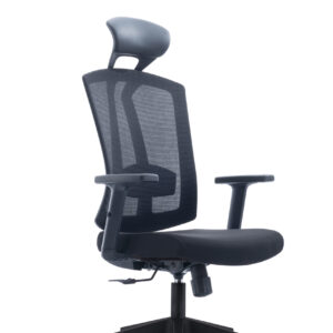 Executive Highback  Ergonomic mesh chair