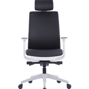 high back Mesh chair